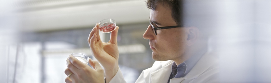 Research Areas Header Image Research Areas Header Image