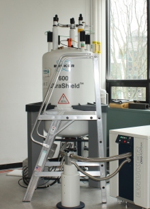 Bruker AV600 with cryoprobe