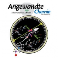 Perrin Lab Group: Featured in Angewandte Chemie